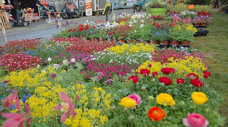FOIRE AUX PLANTES - Escot a déjà une belle réputation